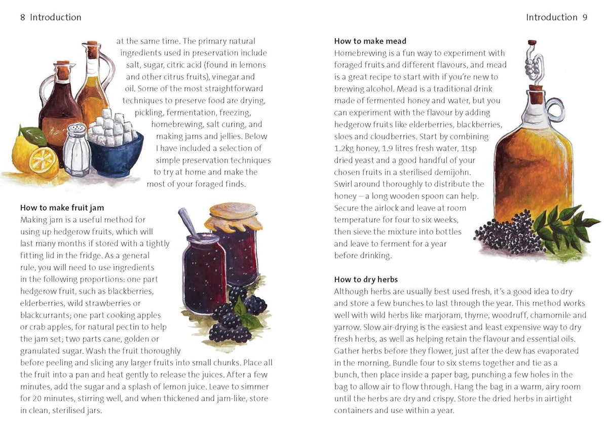 Concise Foraging Guide - Book