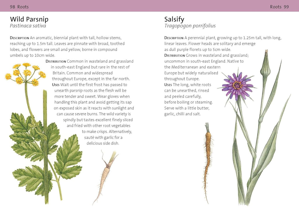 Concise Foraging Guide - Book