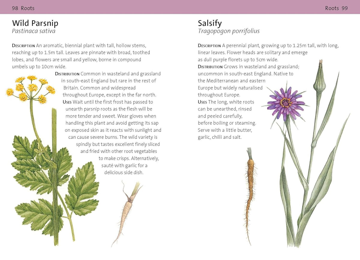 Concise Foraging Guide - Book