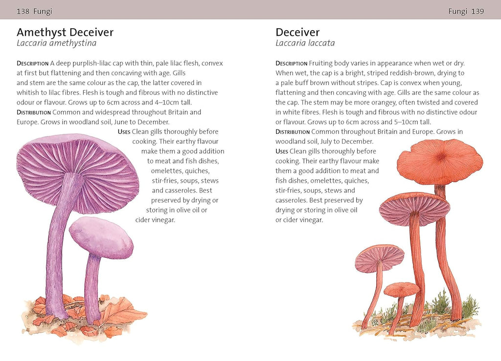 Concise Foraging Guide - Book