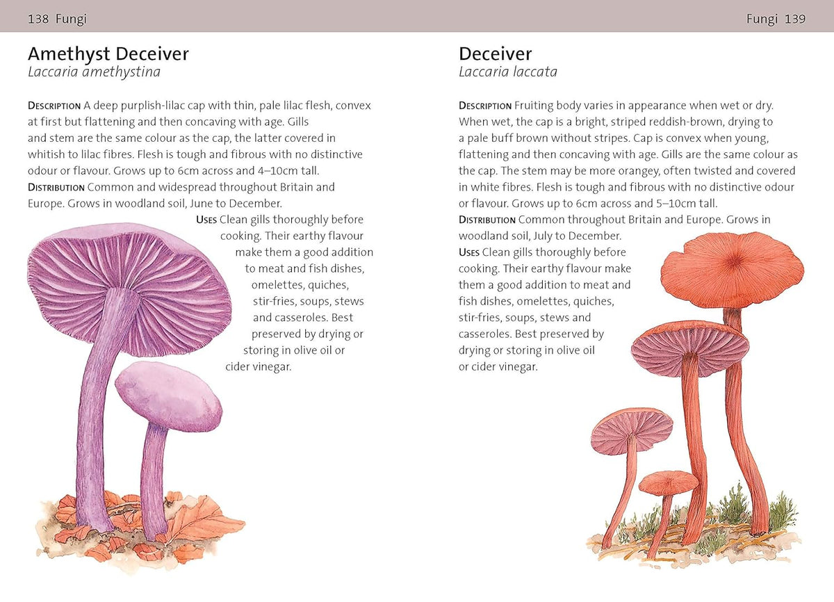 Concise Foraging Guide - Book
