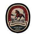 The Adventure Patch Company - 'New Forest Pony' Iron on Patch