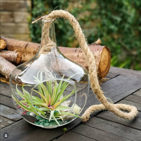 Air Gardens